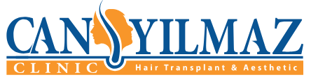 web-logo